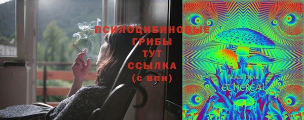 соль ск Аркадак