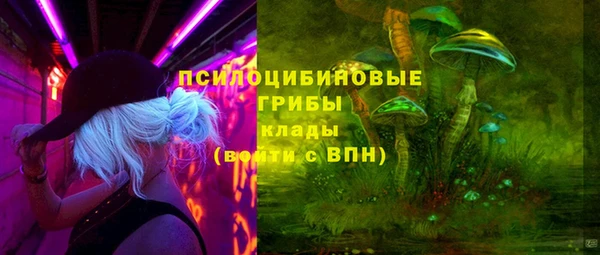 соль ск Арсеньев
